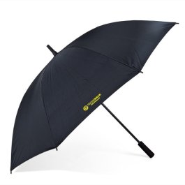 Stilvoller Regenschirm