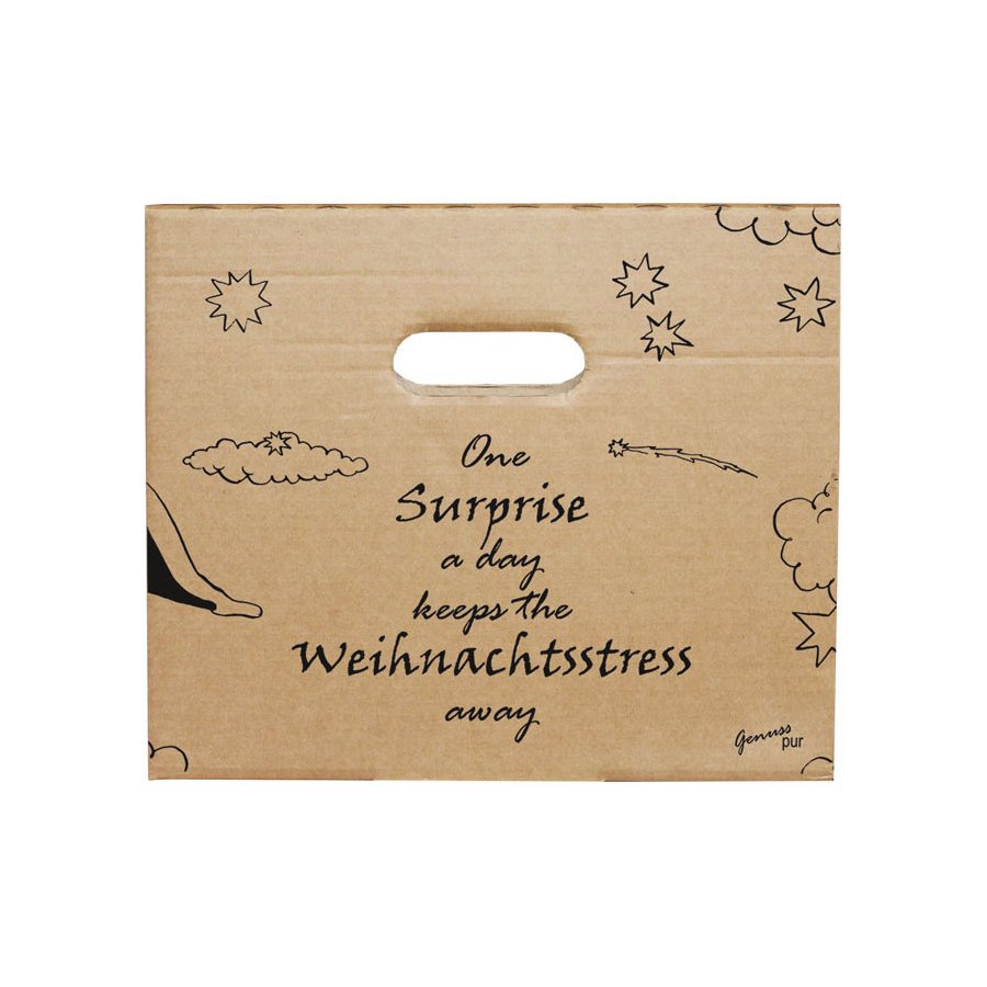 Bier Adventskalender fr 24 Flaschen