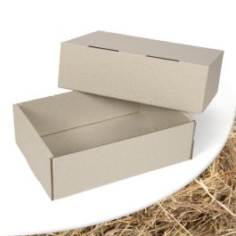 Stülpdeckelkarton aus Graspapier Stülpdeckelkarton aus Graspapier