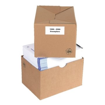 Vario-Blitz Karton mit hoher Stabilität durch doppelwandige Seiten