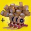 Packband tesa + 3x Abroller tesa Spar-Set 
