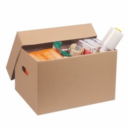 Archivkarton mit Deckel und Tragegriffen