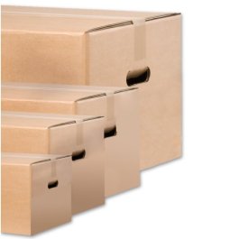 Faltkarton aus Wellpappe mit praktischen Tragegriffen