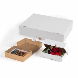 Klappschachtel mit Steckverschluss und Seitenklappen