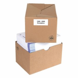 Stlpdeckelkarton mit Automatikboden