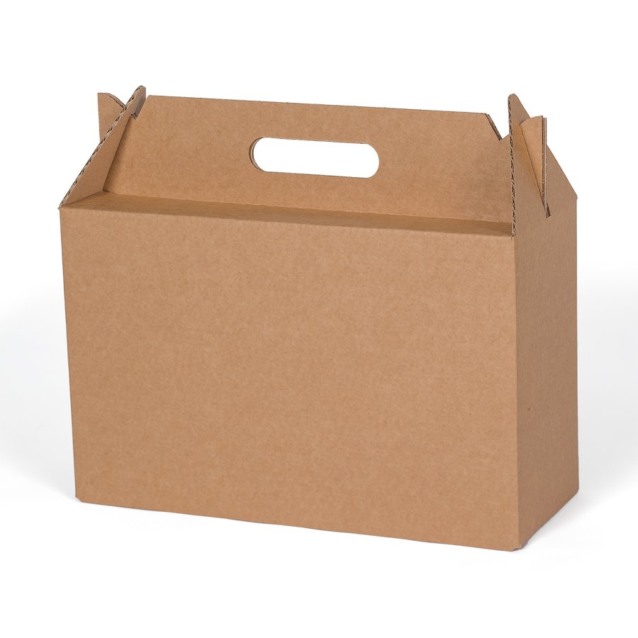 ber den ausgestanzten Tragegriff lsst sich der Karton einfach und bequem transportieren